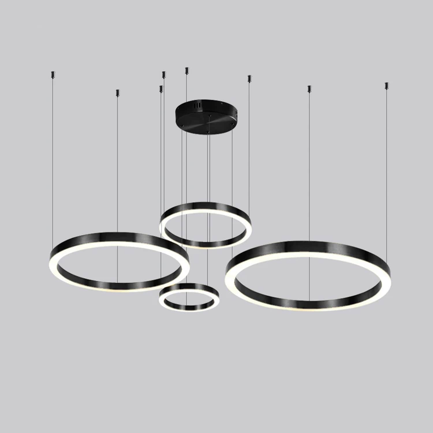 LED Circular Ring Hanging Profile Light